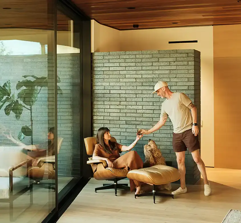 Landscape Renovation